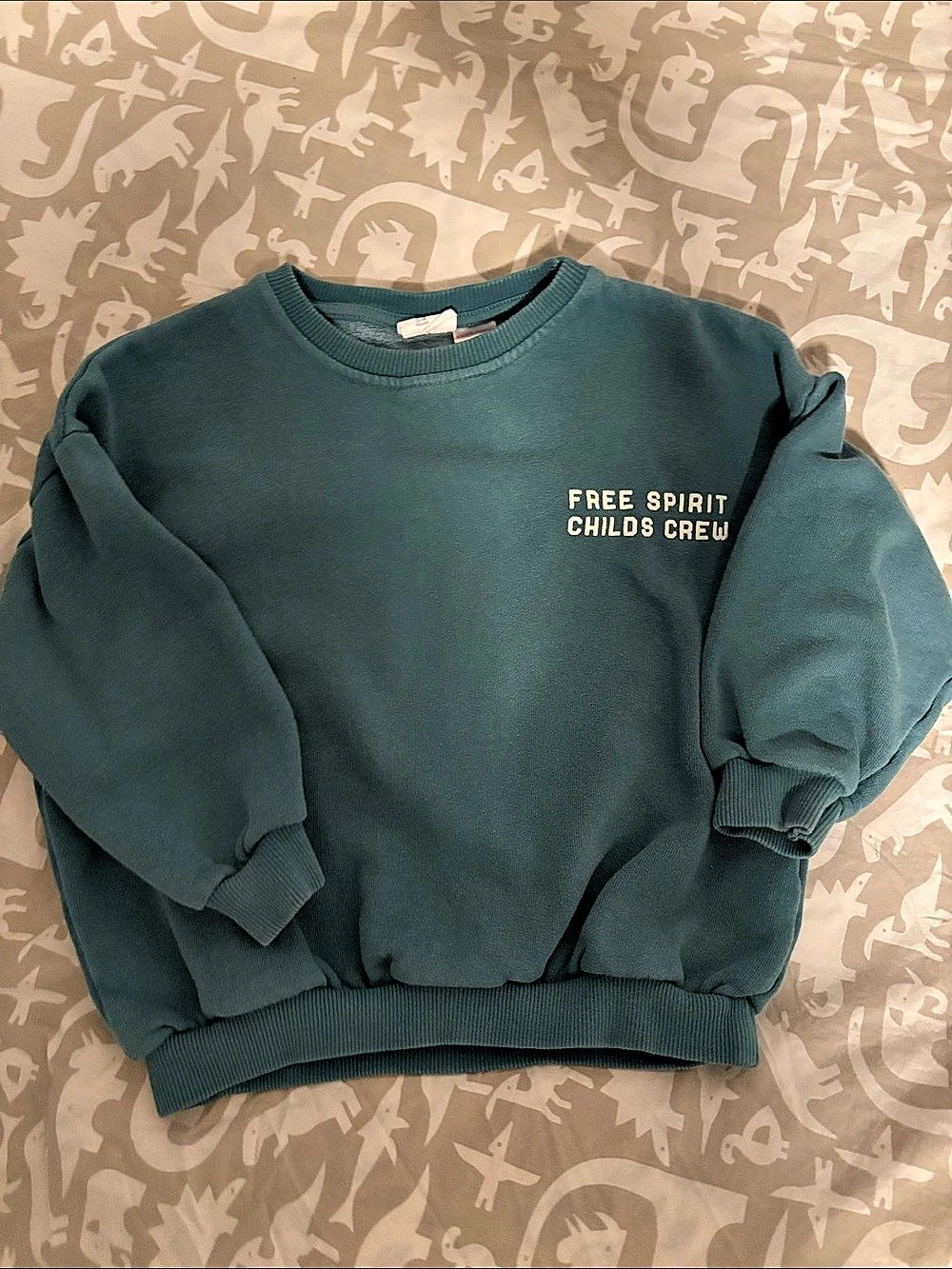 3t Zara Kids Green Crewneck Sweatshirt Like New